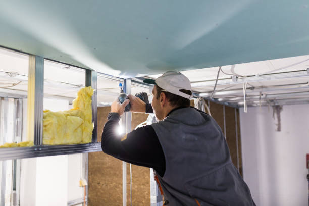 Best Insulation Installation Services in High Rolls, NM