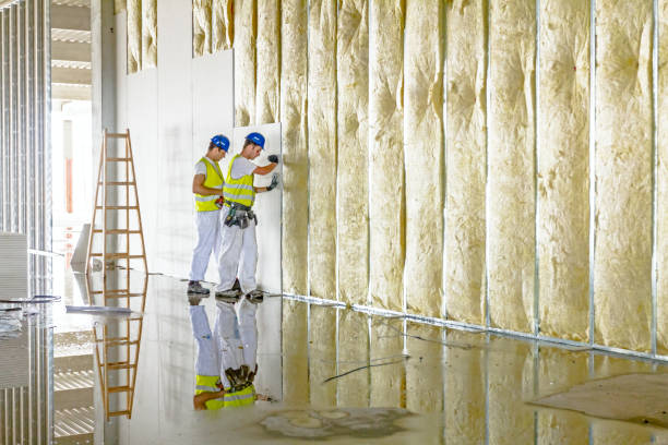 Best Residential Insulation in High Rolls, NM